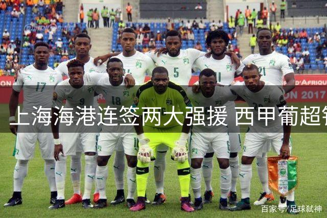 上海海港连签两大强援 西甲葡超铁闸加盟剑指亚冠